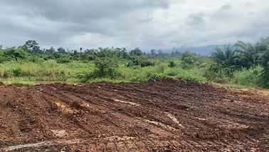 kwahu land reclamation post reclamation