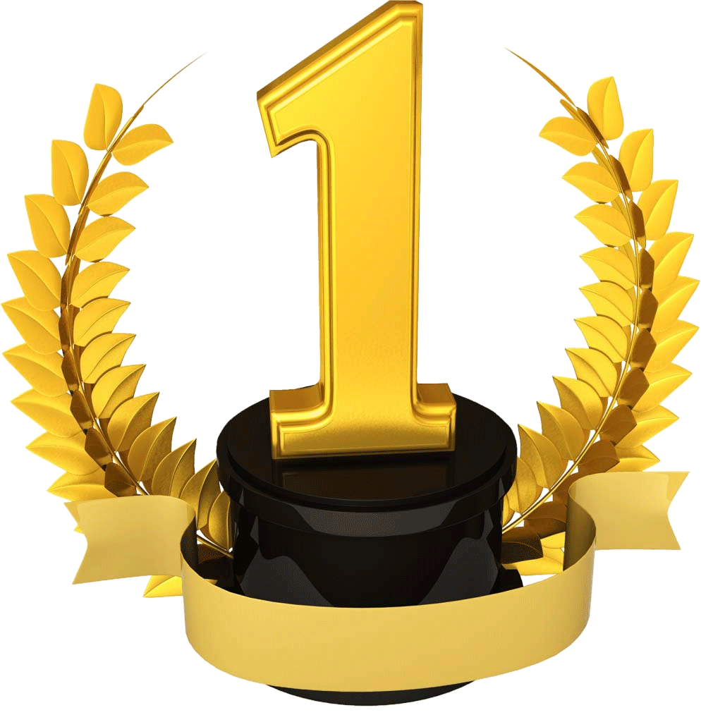 webseiten,-internetseite,-ranking,-suchmaschinenoptimierung-websiten,-homepage.gif