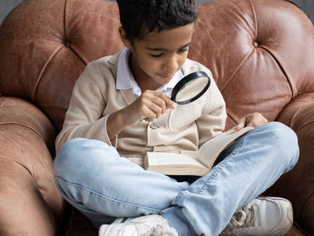 Comprendre la lentille francophone à l'Île-du-Prince-Édouard : Un regard plein d’étoile sur l’île