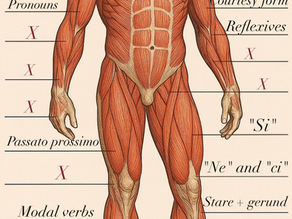 Muscular anatomy of a male figure with a Michelangelo's David head and posture.