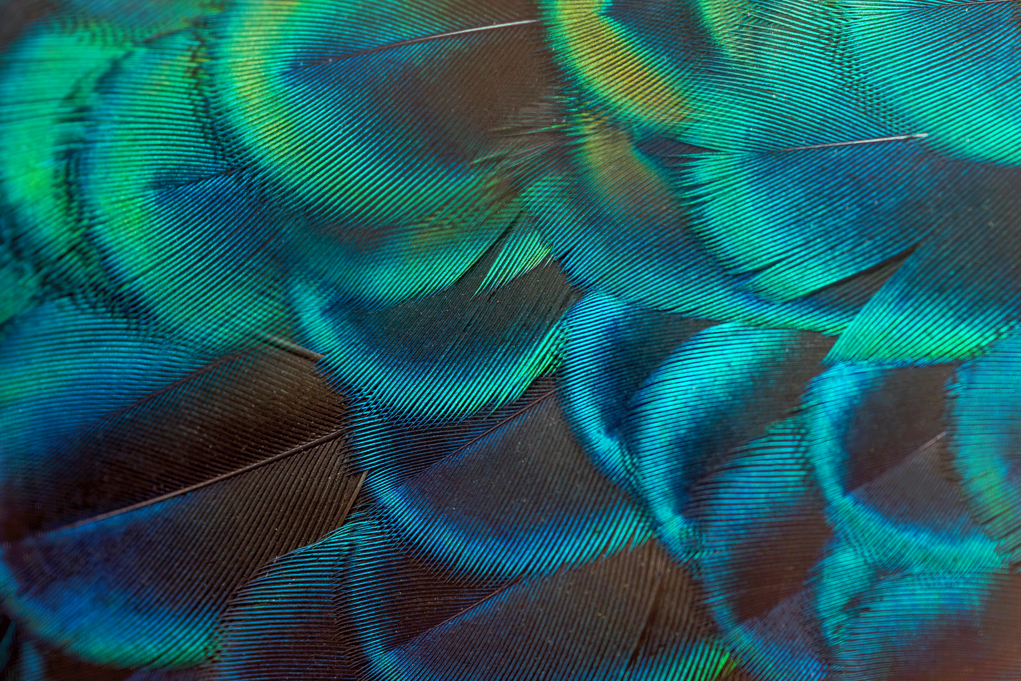AdobeStock_444498114.gif