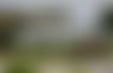 January 8, 2025 Board Meeting