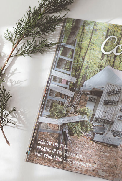 LUX Featurd Story Country Living Fair 2017