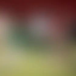 Uberlândia entra em campo por vaga e premiação milionária na Copa do Brasil