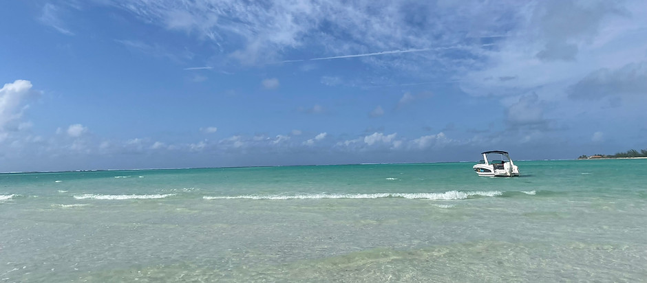 IMG_7249.JPEG