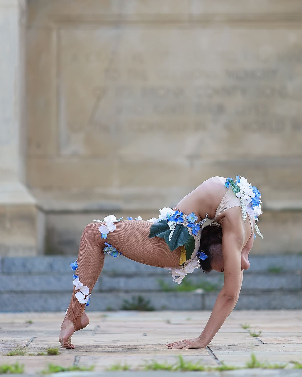 David Tufino Photography