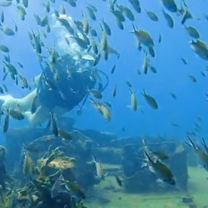 Grenada's Voluntourism Program Offers A Chance to Make an Impact