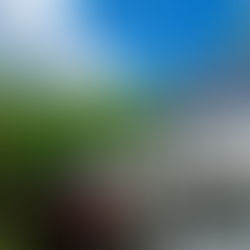 Microbreweries are Trending in Québec's Eastern Townships