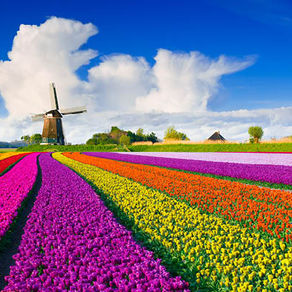 Top Springtime River Cruises With Emerald Waterways