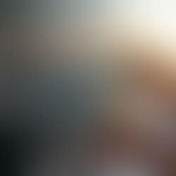 Join a Holiday Setting on a Lush Costa Rican Cruise