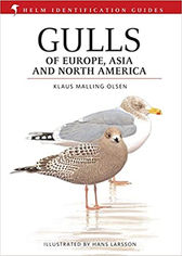 Gulls of Europe, Asia and North America.jpg