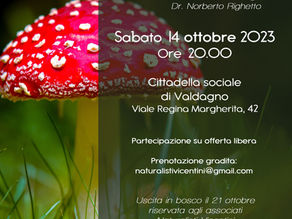 Minicorso di micologia