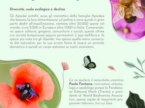 Serata "Gli impollinatori apoidei. Diversità, ruolo ecologico e declino"