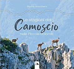 Le stagioni del camoscio nelle piccole Dolomiti - di Dorino Stocchero.jpg