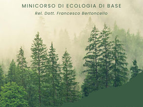 Minicorso "Elementi di conoscenza degli ecosistemi forestali alpini"