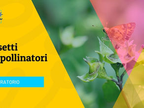 Laboratorio "Insetti impollinatori" al FESAV