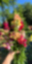 external-file_edited.jpg