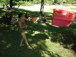 b7381b4a34801e6f1956fe21f153a453