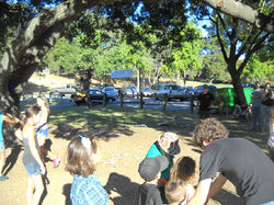 73f6ece813887815dd0b1f0fd53a50b1