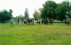 44c3cfdbb364627a8ea2fcb7b9ff02ea