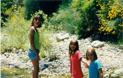 10baa731a27252f900bb58e92054e946