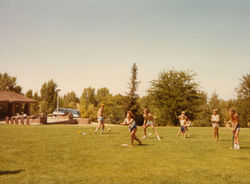 92ed7b43bdd57685d06ad271e9db4761