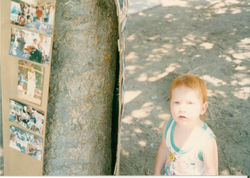 85afad611c31ae1385c5f8b81c7e128e