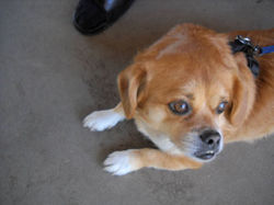 7f30ba27329e52078da73b1dcb95cba6