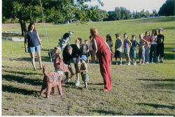 8fd0cbae5d601aca3085649f8a885ee9