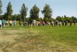 d13f382c029ca9571e067b3605ac2e3d