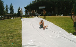 253eb261119b3cd8f30e1ee11d1ae016