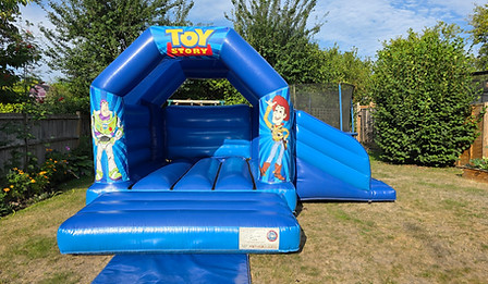 Blue Combo Toy Story.jpg