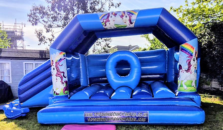 Big Blue Unicorn (1).jpg
