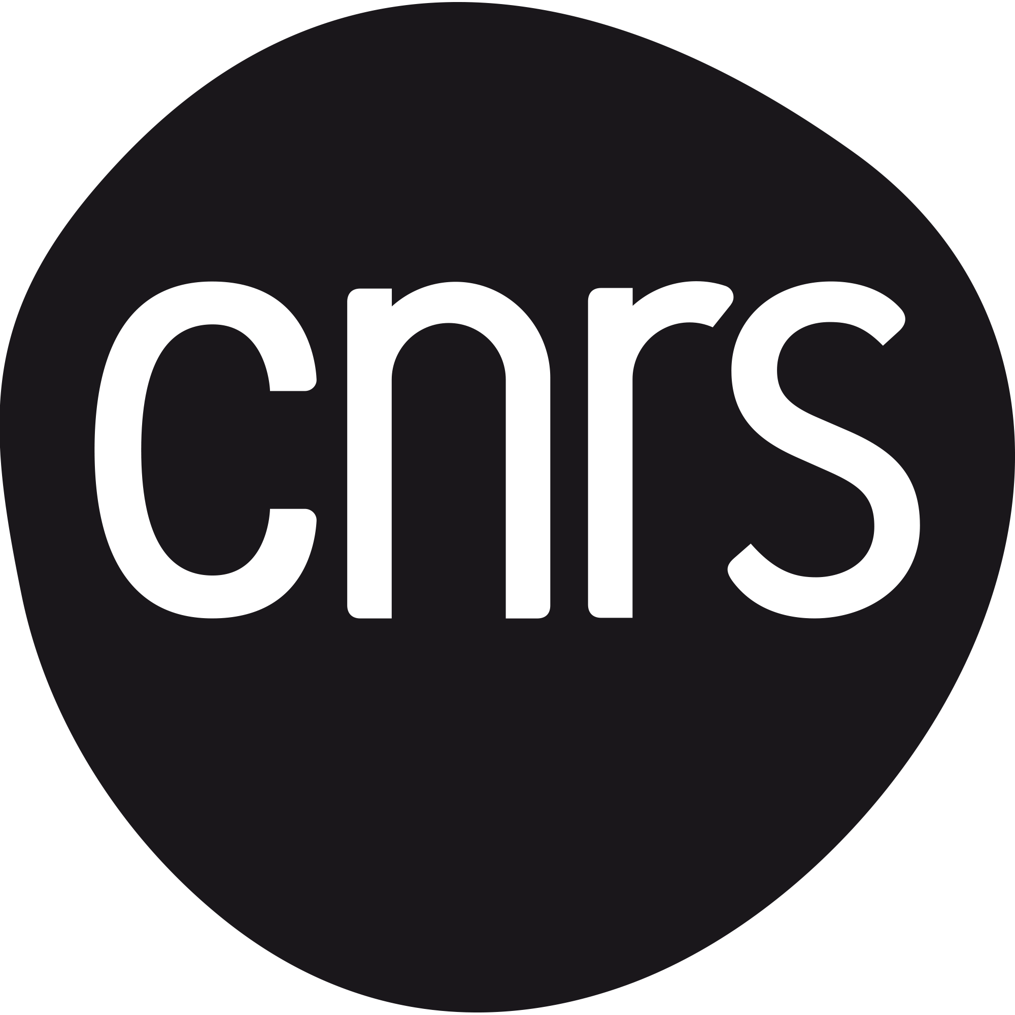 LOGO_CNRS_2019_NOIR.gif