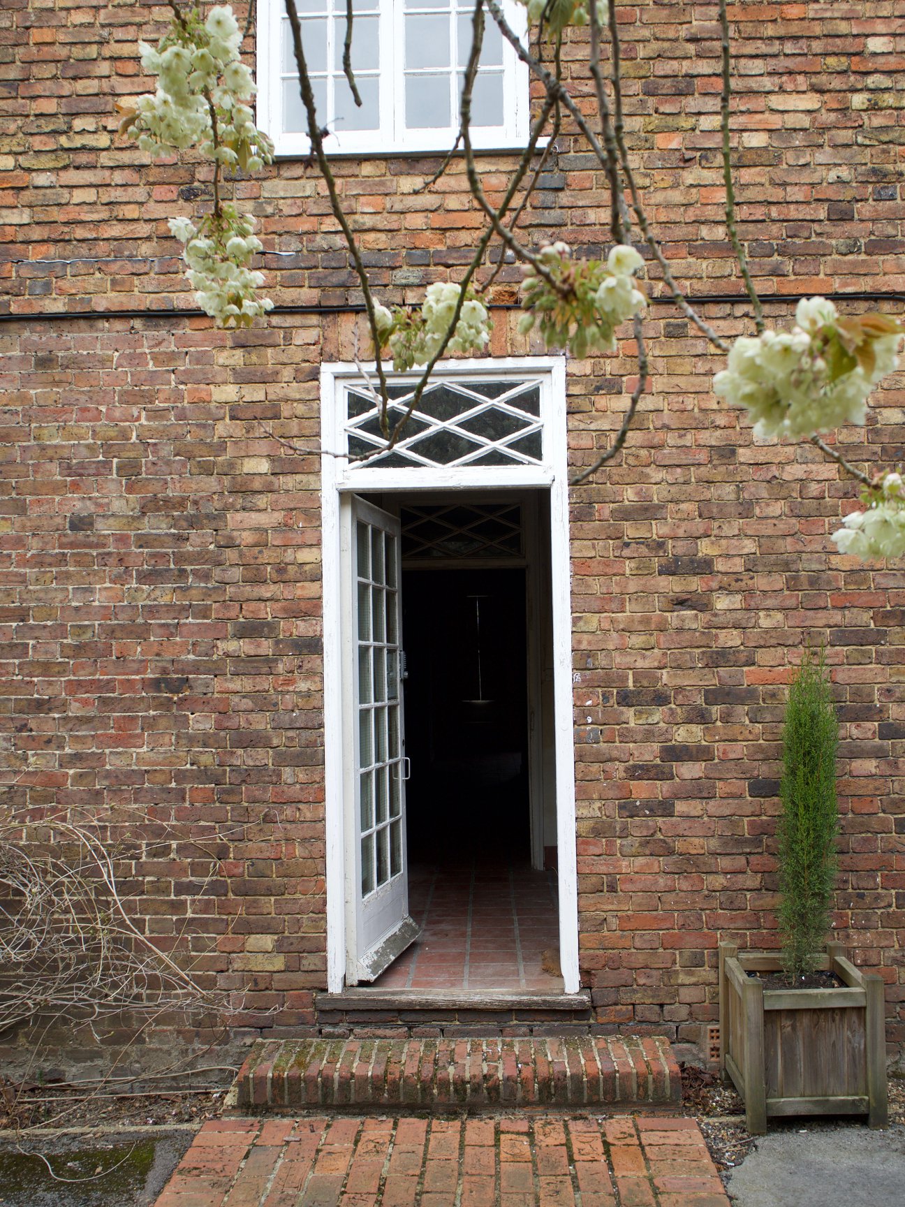 Back door