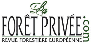 O'PERCHÉ