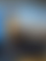 ACTNOW at One Ocean Week: Future scenarios for the Barents Sea