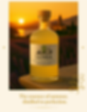 ChatGPT Image 19 avr_edited.png
