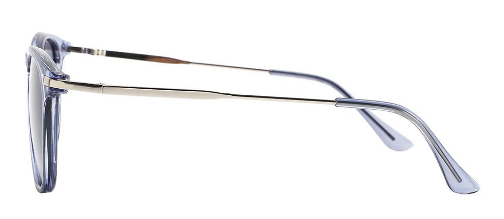 Μικρογραφία: NEGRESCO BLUE