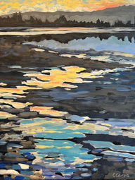 Abstract low tide Cowichan Bay Estuary