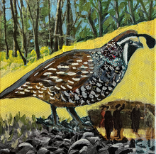 The quail in the forest