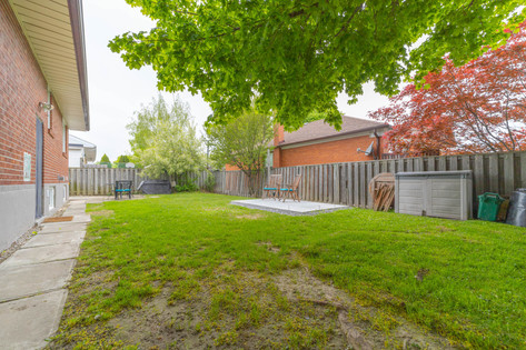 backyard 2.jpg