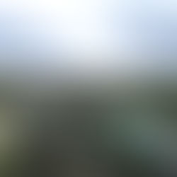 VAUGHAN, A PLACE TO GROW