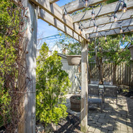 backyard .jpeg