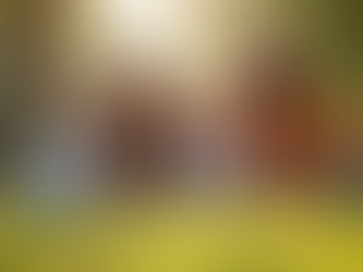 Top Tips for Successful Family Photography Sessions