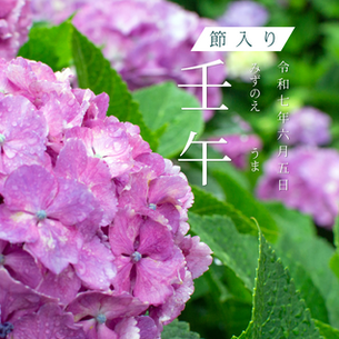 メンバーシップ6月