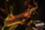 Nextop - Sanremo, Teatro Ariston