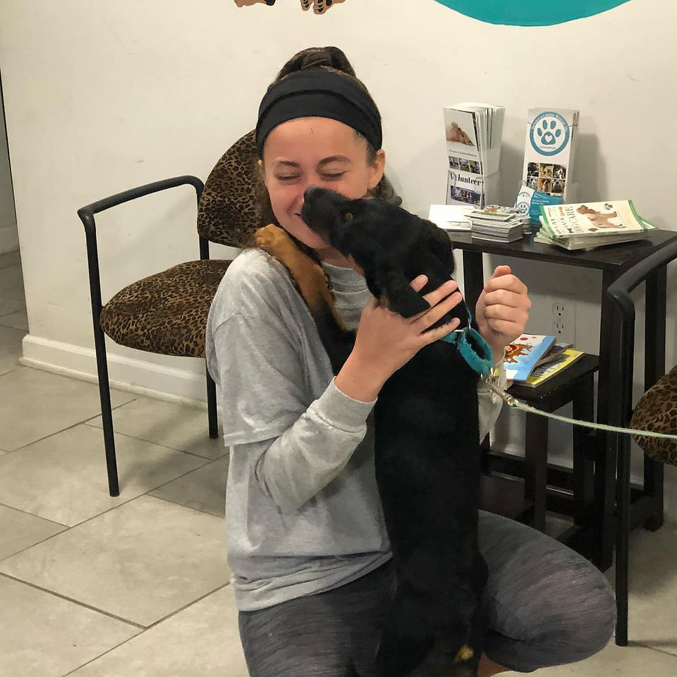 Puppy Love