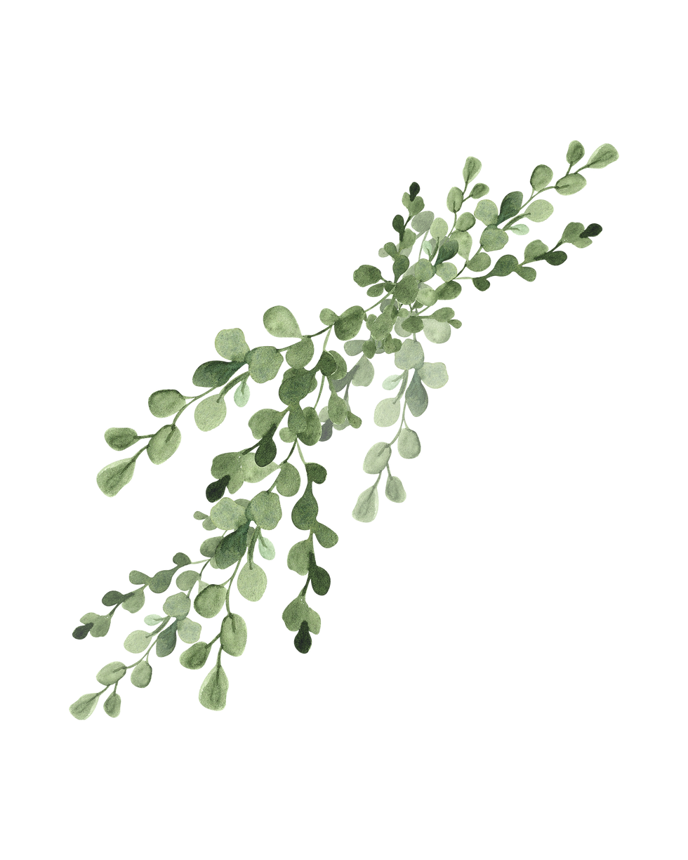 5.png