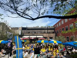 Inside Sweden Arena: What to Expect at Milano-Cortina 2026